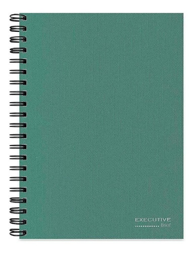 Caderno Executivo Capa Dura Brief Executive 80 Fls 200x275mm Cor Verde