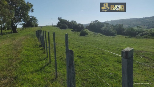 Imagem 20 de 30 de Fazenda A Venda No Bairro Centro Em Canguçu - Rs. - 2495-1
