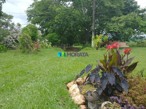 Imagem 6 de 11 de Fazenda - Zona Rural - Ref: 5086 - V-mta5086