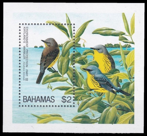 Fauna - Pájaros - Bahamas - Block Mint