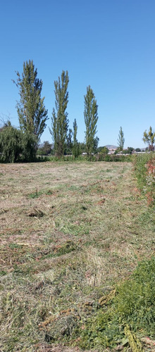 Parcela 5250m2 Rol Propio Las Cabras