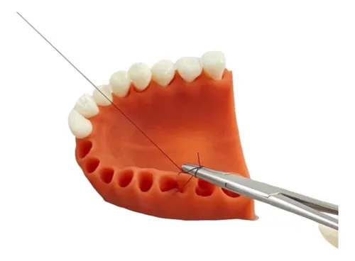 Pad De Sutura Bucal- Odontología