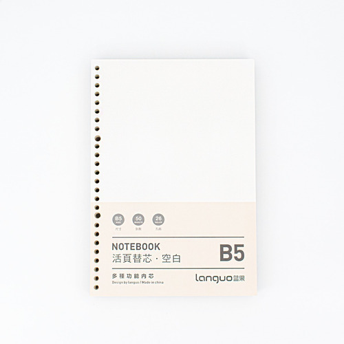 Imagen 2 de 5 de Repuestos De Hoja B5 Para Libretas B5