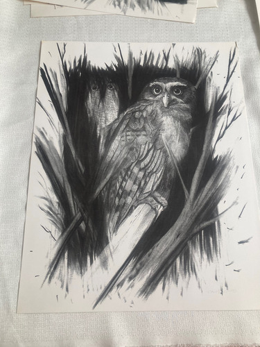 Divertimentos, Cinco Dibujos De Rafael Cauduro (Usado)