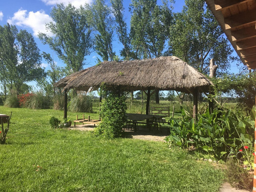 Imagen 3 de 11 de Casa Quinta En Alquiler (barrio El Rodeo)