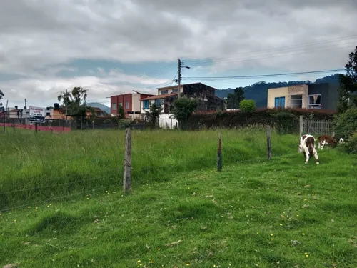 Venta De Lote Ubicado En Tabio-cundinamarca