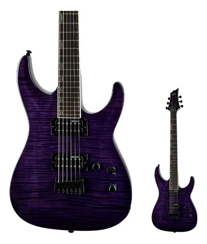 Esp 2024 ltd h100