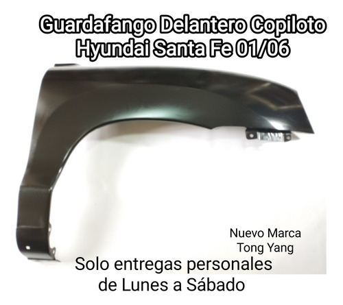 Guardafango Delantero Copiloto Hyundai Santa Fe 02/06 