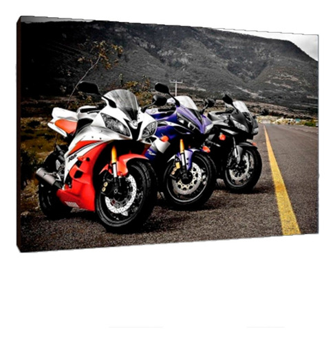 Cuadros Poster Carreras Motos L 29x41 (mtos (51))