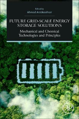 Libro Future Grid-scale Energy Storage Solutions : Mechan...