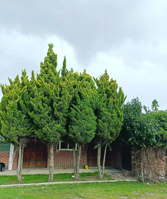 Rancho en venta