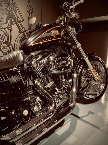 Harley Davidson 50 Aniversario Limited 1200 Df_motorcycles