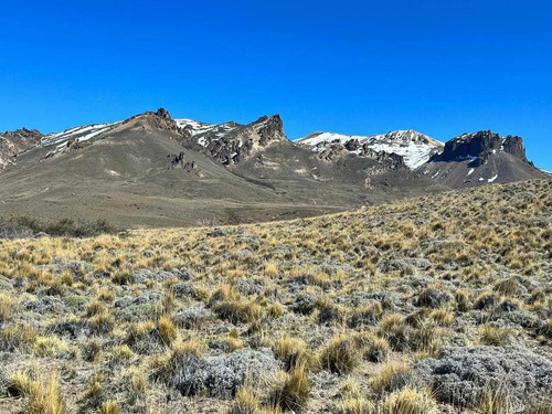 Oportunidad De Inversión En Zona Céntrica (167152)