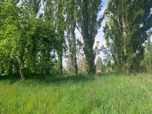 Inversión Segura Liquidamos Parcela Cerca De Temuco