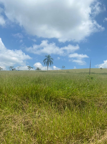 Imagem 7 de 14 de R16- A Venda Em Jacareí,lotes Com Excelente Topografia