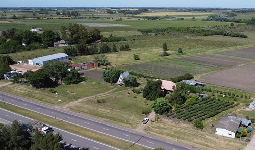 Campo 7 Has Sobre Ruta 5 Varios Usos Permitidos Depósito Eventos Agricultura Ganadería Ariel Fernández