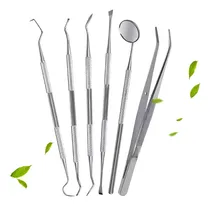 Comprar Kits Limpieza Higiene Bucal Acero Inoxidable Adultos Niños