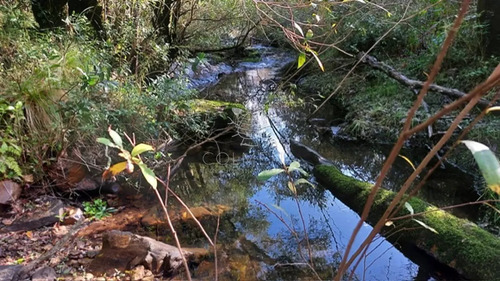 Campo De 80 Has En Paraje Carape Con Costa De Arroyo.