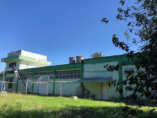 Imagen 12 de 22 de Inmueble Comercial - Alquiler - 2000 M2 - Merlo - Libertad - Lote - Local - Deposito