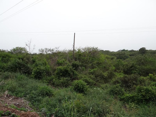 Terrenos Renta Salida A Tamiahua Tuxpan Veracruz