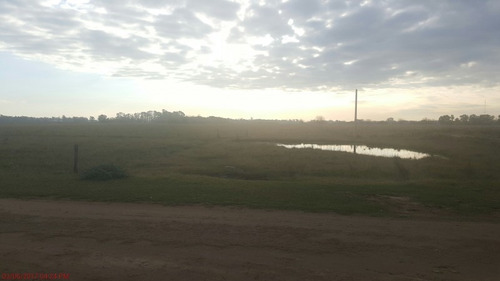 Imagen 6 de 11 de Lote
