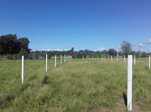 Terreno En Sta. Rosa De Calchines