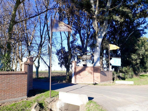 Imagen 5 de 19 de Terreno - Fighiera