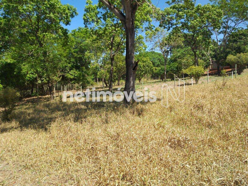Imagem 21 de 30 de Venda Chácara Zona Rural São Sebastião - 794340