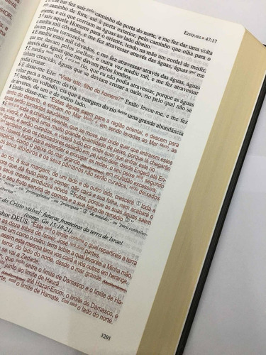 Bíblia Ltt Estudo Literal Do Texto Tradicional | Capa Dura