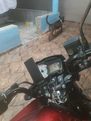 Yamara Fezer 150 13/14