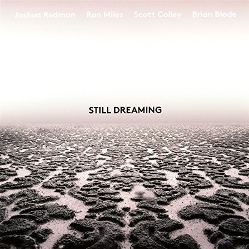 Lp Still Dreaming feat. Ron Miles, Scott Colley And Brian