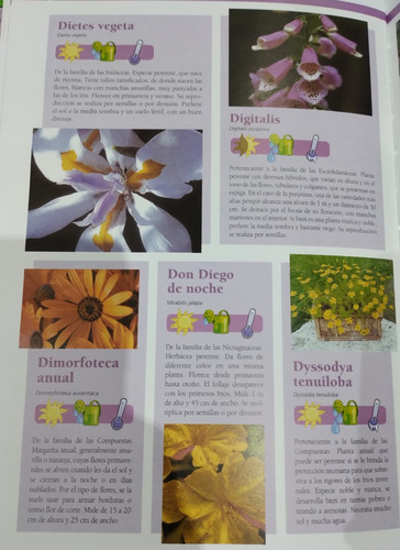Enciclopedia Practica De La Jardinería
