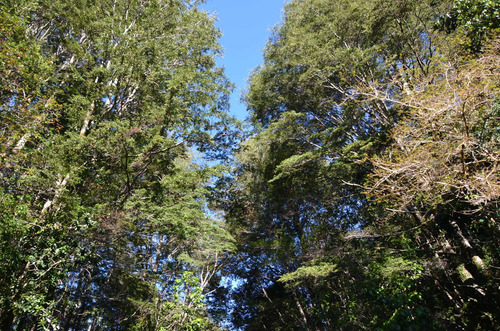 Parcela Con Vistas Panorámicas (130055)