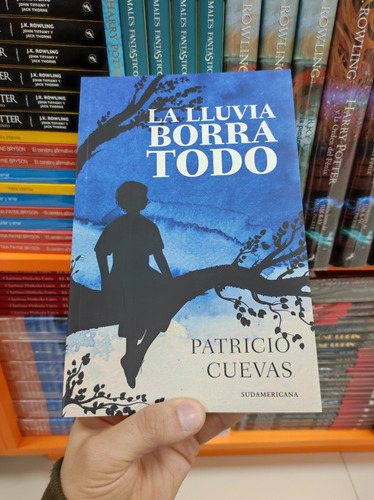 Libro La Lluvia Borra Todo - Patricio Cuevas 