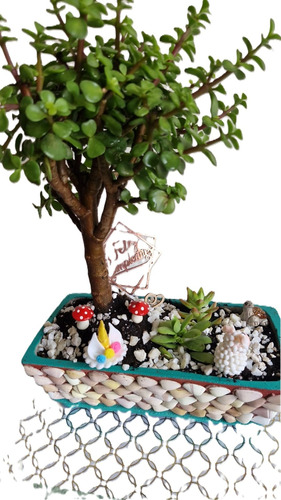 Venta De Arbolito Bonsai  Monedita Para Regalo