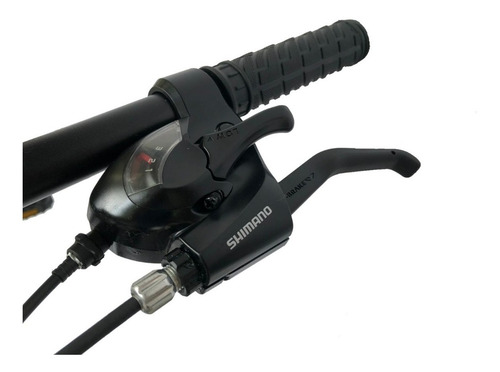 Imagen 4 de 4 de Bici Mtb Fire Bird 21 Vel Disco Mecanico Rod 29