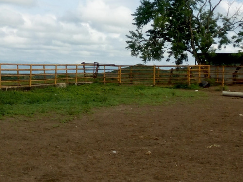 Imagen 25 de 27 de Se Vende Finca En Caicara De Maturin Sec Bajo Gde Ve02-1143cai-mtru