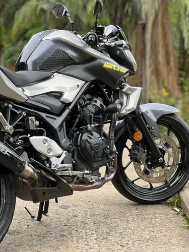 Mt03