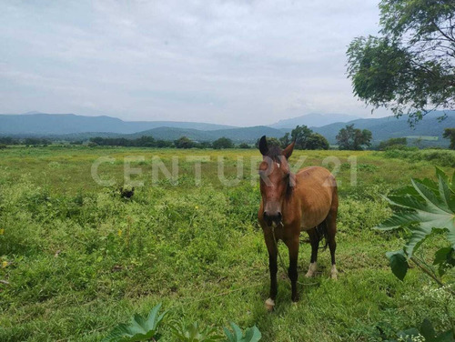 Terreno Rustico En Venta Miacatlán Mor.
