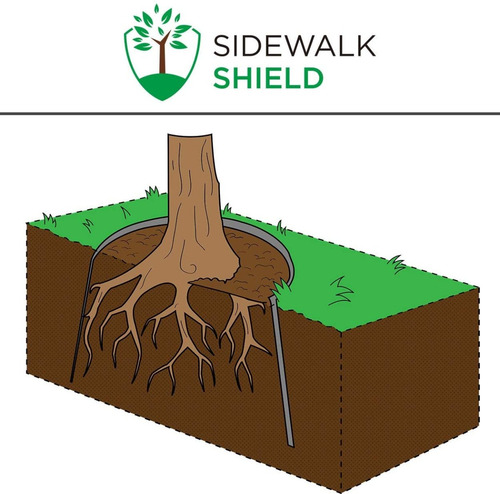 Barrera Para Raíces De Árbol