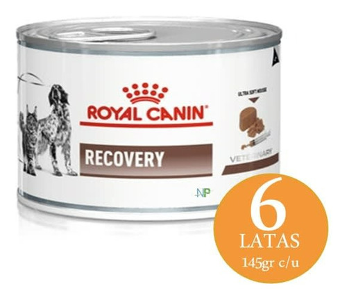 Royal Canin Recovery 145g Pack 6 Unidades