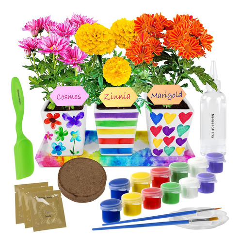 Kit De Ceramica De Flores Para Jardineria De Pintura Y Plant