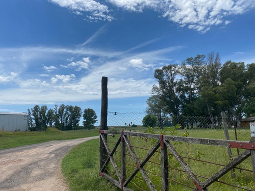 Depósito O Galpón En Alquiler - San Antonio De Areco, A Pocos Metros De La Rotonda De Entrada