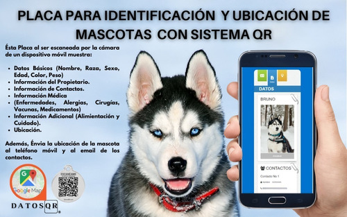Placa Para Perro Con Sistema De Identificación Ubicación Qr