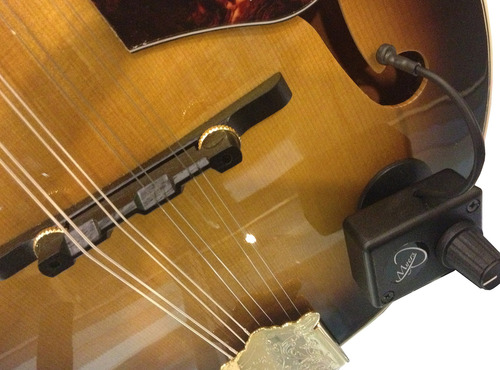 Myers Pickups Roman Mandolin Pickup Con Micro-gooseneck