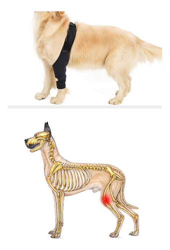 Almohadillas Protectoras De Codo Para Perros Y Mascotas, Xs