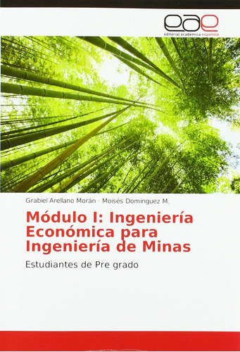 Módulo I: Ingeniería Económica Para Ingeniería De Minas