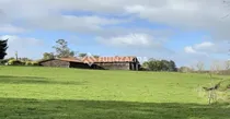 Comprar Bajo De Precio Parcela Con 3 Galpones En Venta Puerto Varas