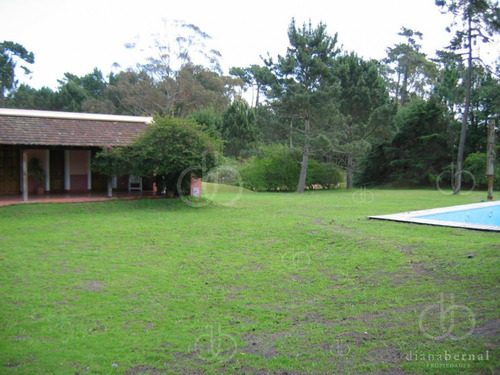 Imagen 6 de 29 de Punta Del Este, Chalet Con Gran Jardín, 4 Dormitorios Y Piscina-