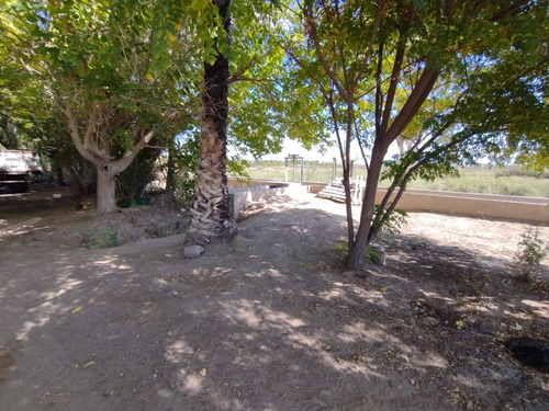 Imagen 11 de 16 de ¡zeballos Estudio Jurídico E Inmobiliaria Vende Finca En Producción En Lavalle! Mat. 134/135